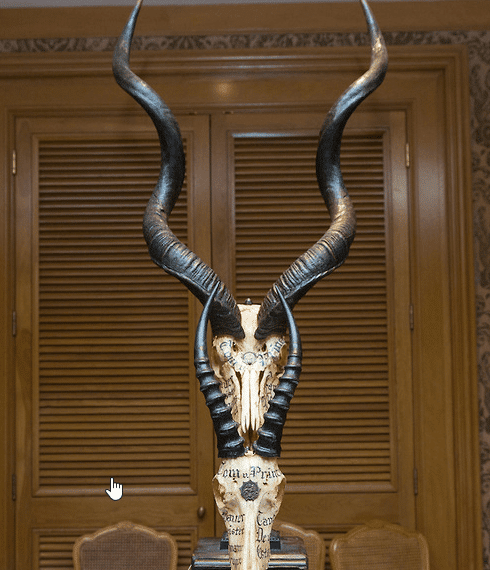 A display of horned skulls with cryptic inscriptions on them.