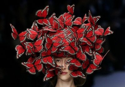 philiptreacy butterflies Symbolic Pics of the Month (10/12)