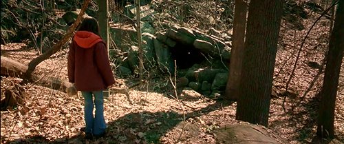 This mysterious cave is in fact the programming site where Charlie further traumatized and played with Emily's mind.
