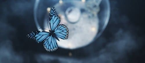 As programming is going on, a blue Monarch butterfly flies above the globe, making it clear that all of these visuals symbolically represent the trauma, abuse and programming of a MK slave.