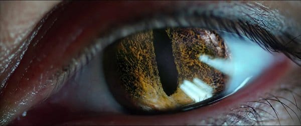 Throughout Lucy's transformation, we see closeups of her eye which keeps changing forms, sometimes looking reptilian which emphasizes the fact that she it not human anymore.