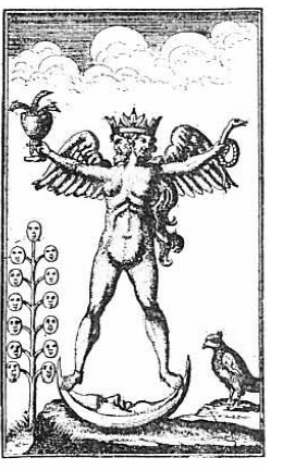 "The symbol reproduced above is from a rare edition of the Turbæ Philosophorum published in Germany in 1750, and represents by a hermaphroditic figure the accomplishment of the magnum opus. The active and passive principles of Nature were often depicted by male and female figures, and when these two principle, were harmoniously conjoined in any one nature or body it was customary to symbolize this state of perfect equilibrium by the composite figure above shown." (Manly P. Hall, The Secret Teachings of All Ages).