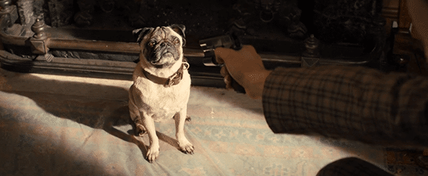 To complete his initiation with Kingsman, he is asked to shoot the dog he was asked to care for since he was a puppy. 