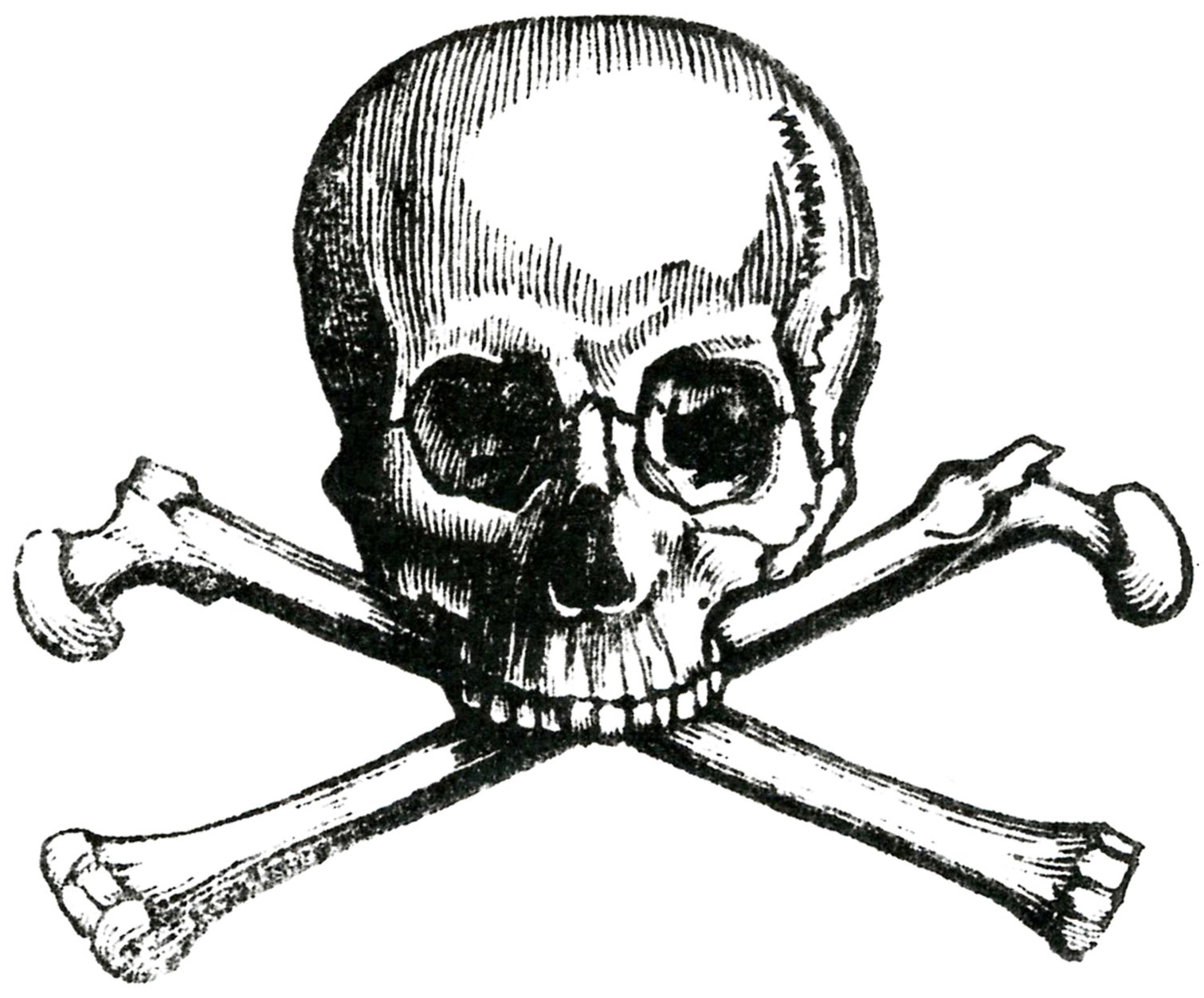 Early-Skull-Image-GraphicsFairy