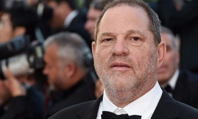 leadweinstein The (Authorized) Downfall of Harvey Weinstein