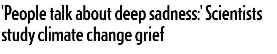2019-12-20 15_49_46-‘People talk about deep sadness_’ Scientists study climate change grief _ Nation