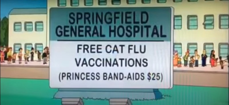 simpsonsflu7 The Simpsons' Clip About a "Cat Flu" Was Incredibly Prophetic