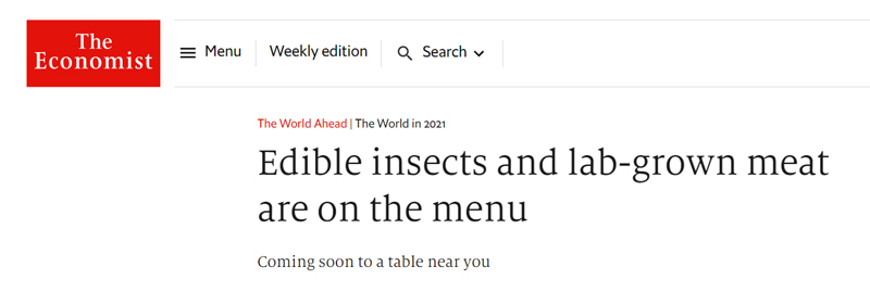 wefbugs4 The Elite is Desperately Trying to Convince You to Eat Bugs. Here's Why.