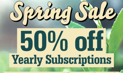 sale 1 The VC Spring Sale: 50% Off Yearly Subscriptions!