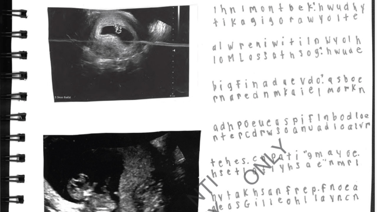 vigilantcitizen.com - Vigilant Citizen - The Coded Journals in the Epstein Files That Hide a Teenage Girl's Horrific Story